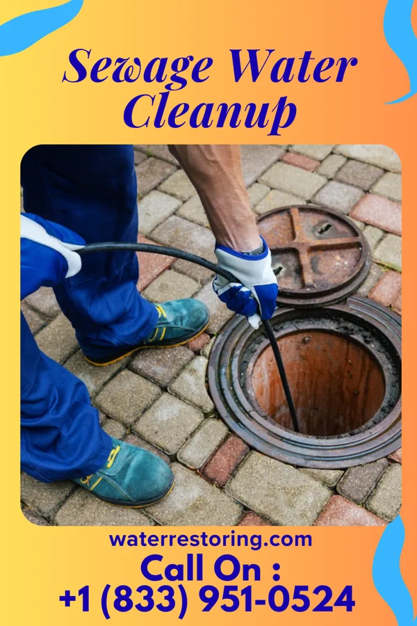 Sewage Water Cleanup in Taylor Ferry, OK